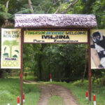 parc Ivoloina Tamatave madagascar excursion mad'ex